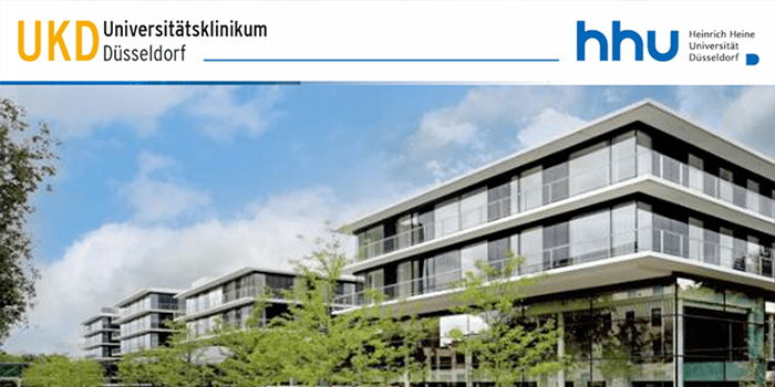 Praktikum Konzernressort Technik – Platform Business (w/m/d)